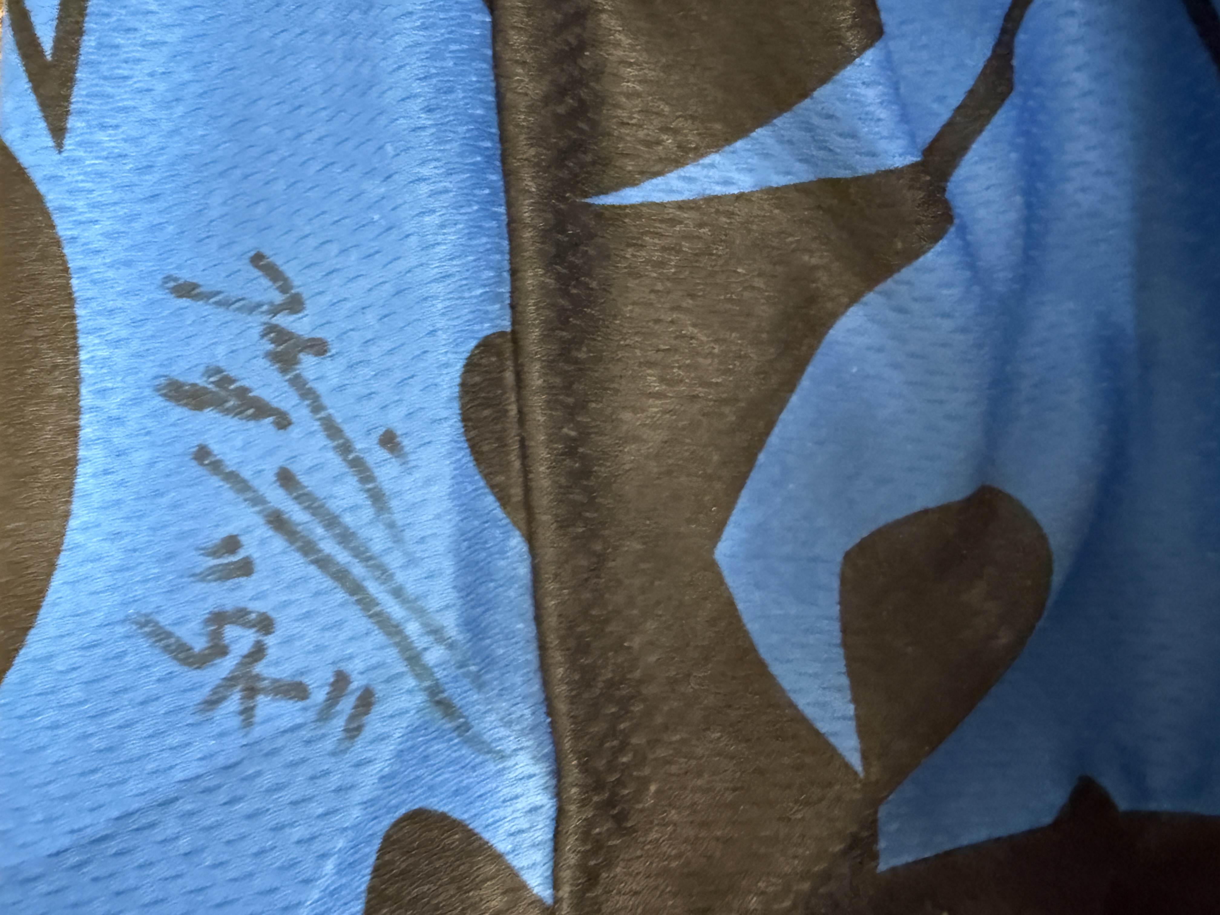 Ryan Greenspan Signed Dynasty Jersey (2X)