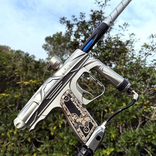 Pure Dynasty Shocker NXT 