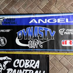 Dynasty / Cobra Paintball / Angel banner - vtg, mint