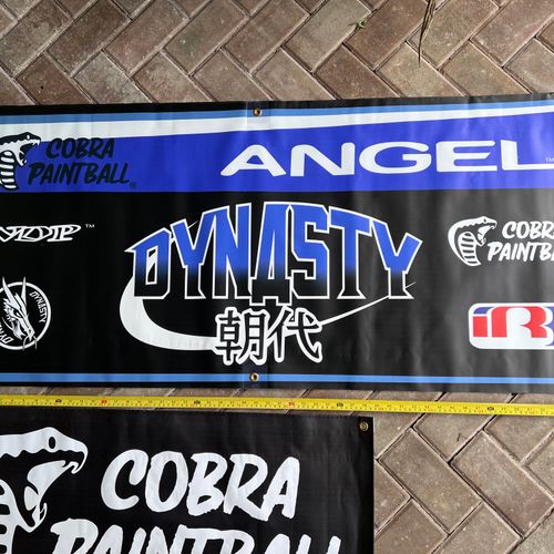 Dynasty / Cobra Paintball / Angel banner - vtg, mint
