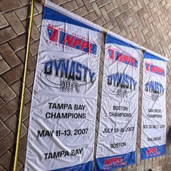 NPPL Dynasty Banner Lot - Vtg, mint