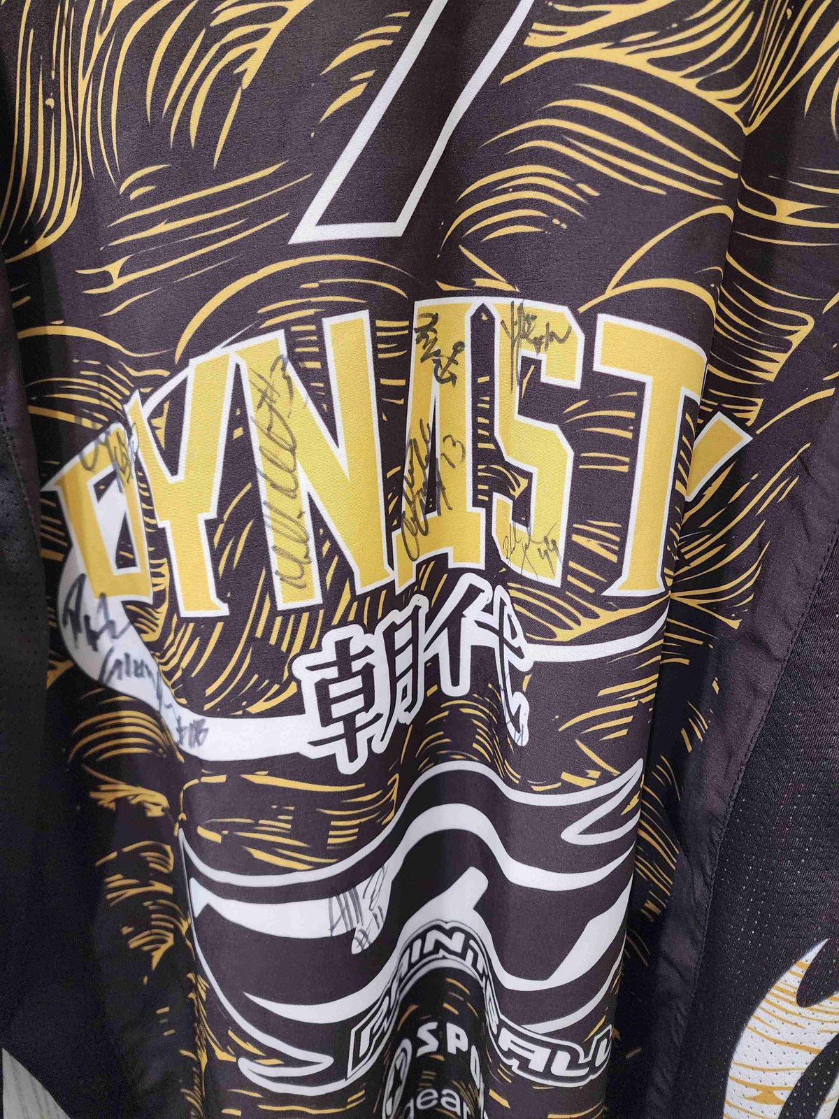 Dynasty Signed jersey