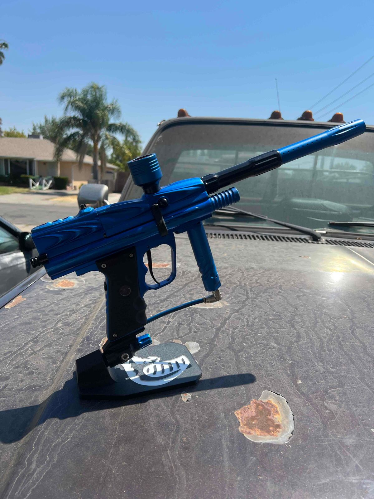 Dynasty cobra mamba angel ir3