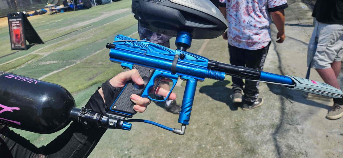 Dynasty cobra mamba angel ir3