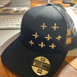 Hormesis Hat