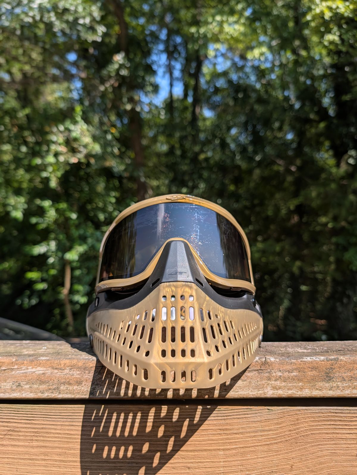 24k Goldmember build
