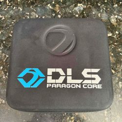 Dye DLS (Blurred)