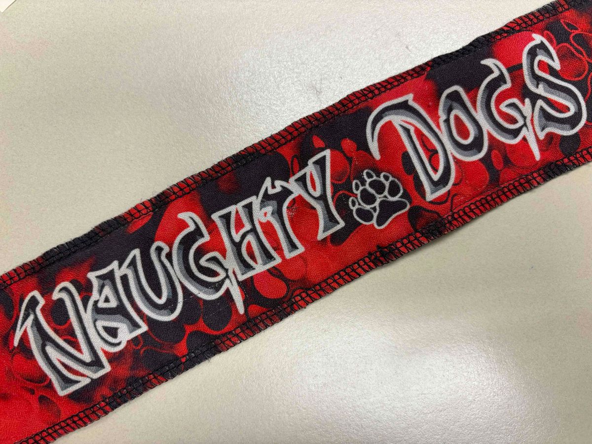 Naughty Dogs Headband & Paw stickers