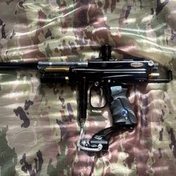 WGP Prostock