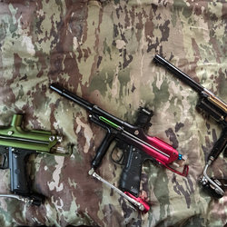 WGP Bundle