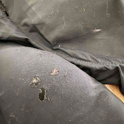 CRBN Slider Pants