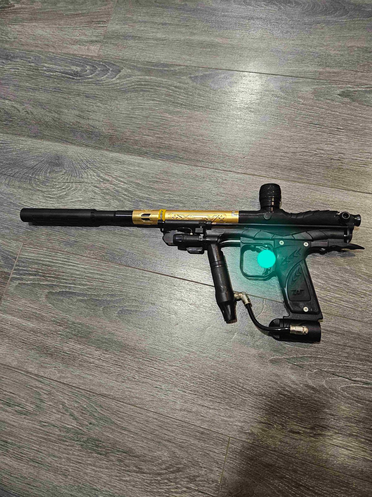 Midnight Karnivor