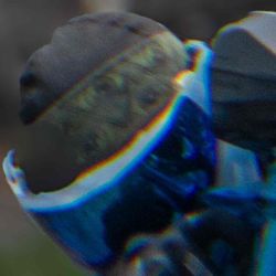 BNKRKINGS CLEAR GALCIER ICE