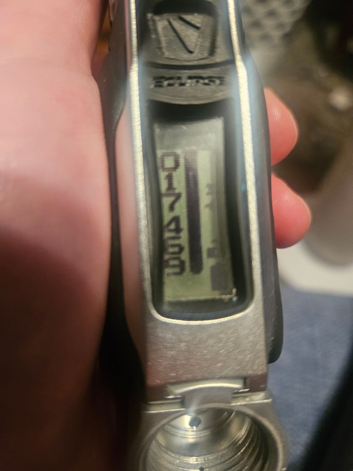 Signed dynasty geo 3