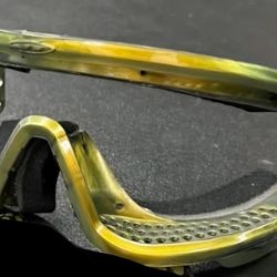 JT Gold Chameleon Frames