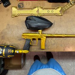 Force v2 gold dragon