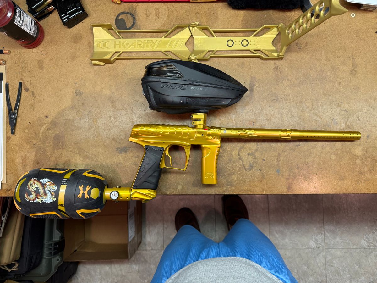 Force v2 gold dragon
