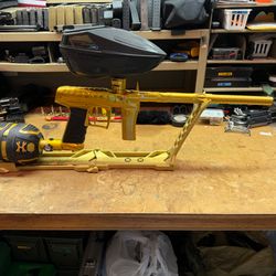 Force v2 gold dragon