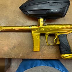 Force v2 gold dragon