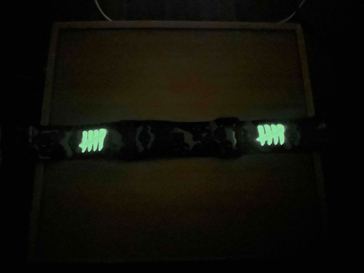 EOTS olive camo (GLOW)