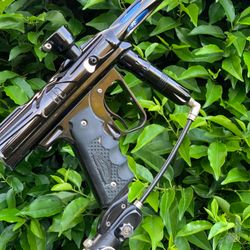 2004 Nasty SFT Shocker 