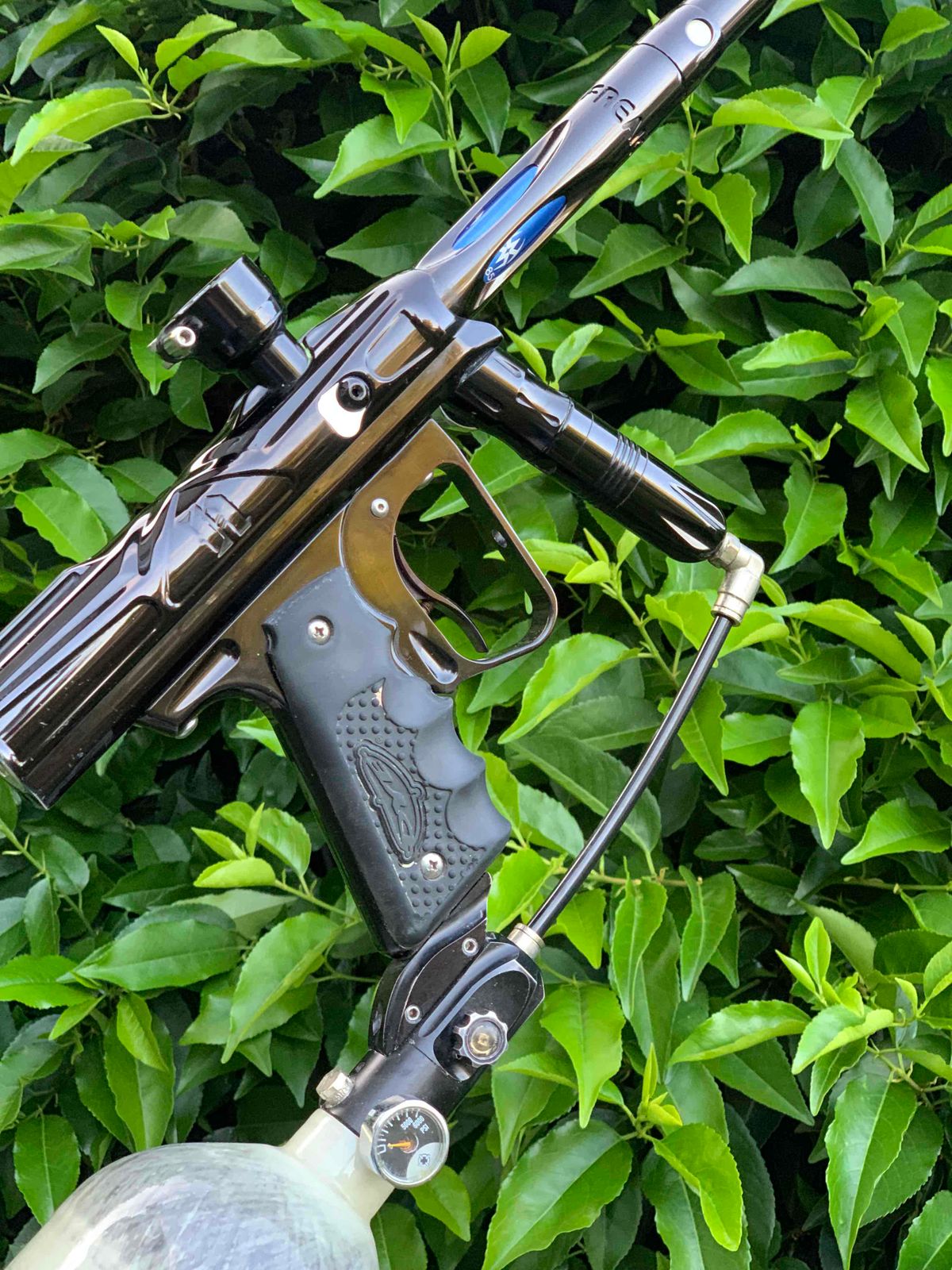 2004 Nasty SFT Shocker 