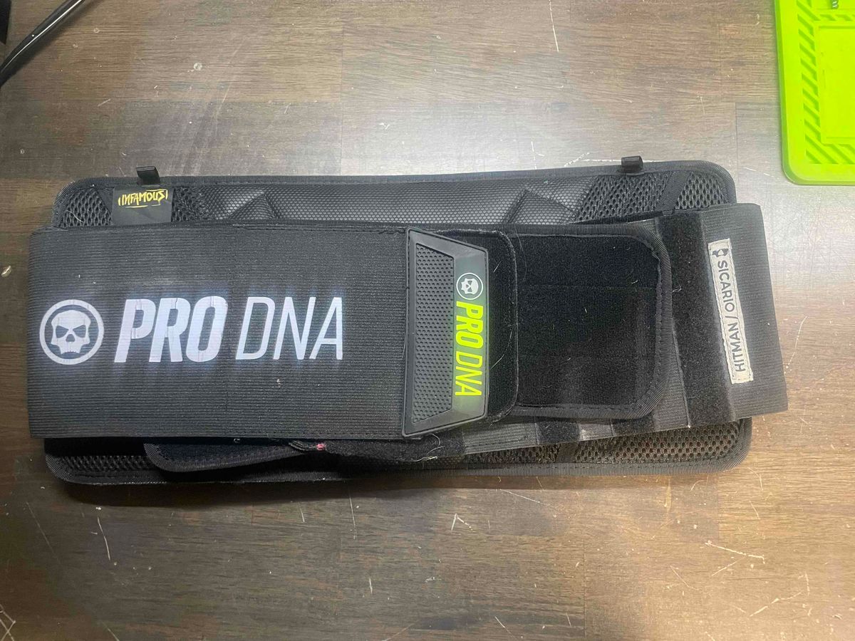Infamous/pro dna harness 