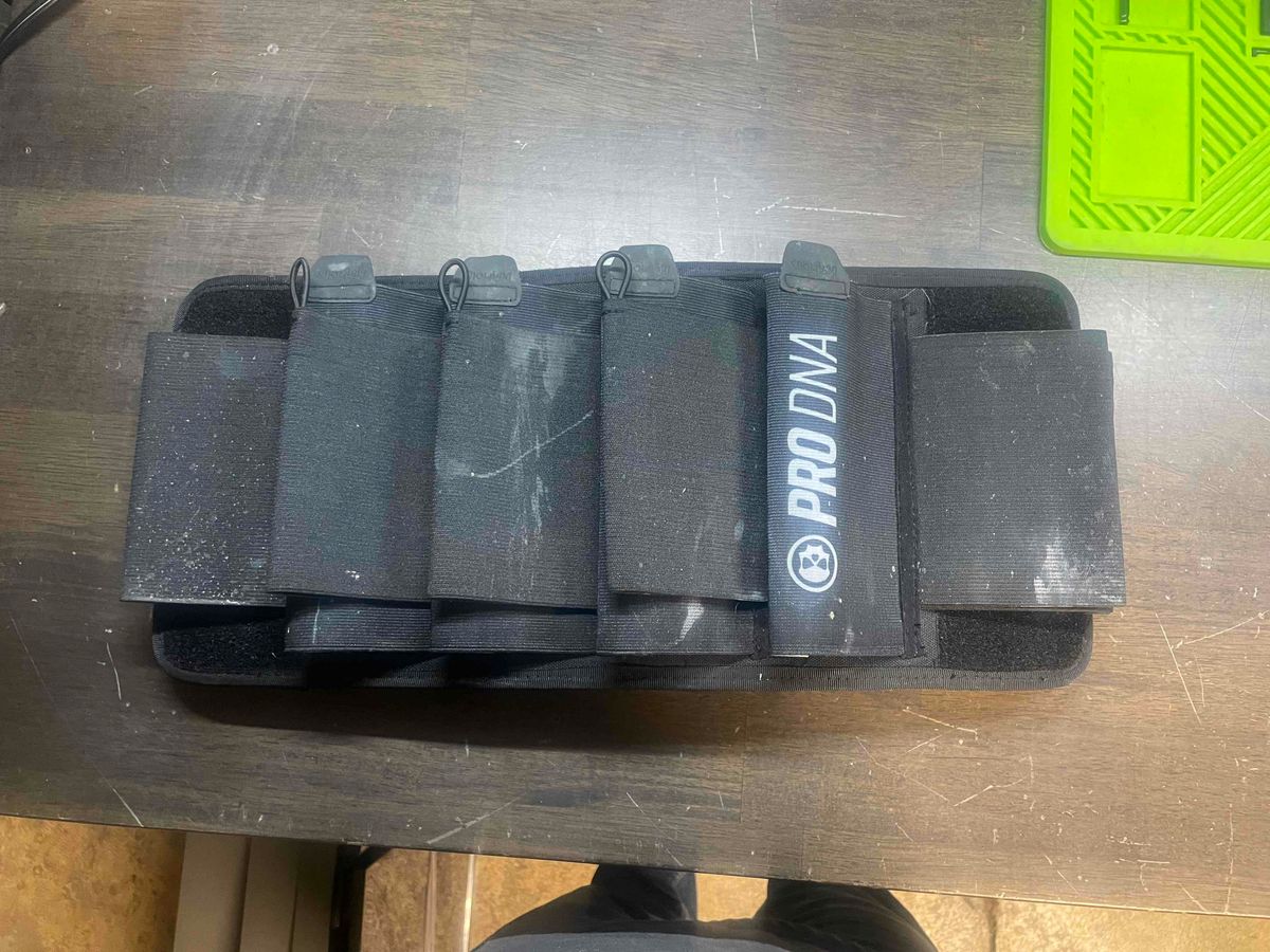 Infamous/pro dna harness 