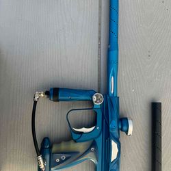 Dynasty nxt blue 