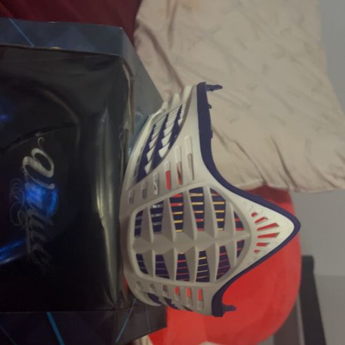 Virtue Paintball Mask