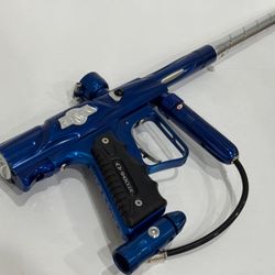 Dynasty Shocker SFT 2004