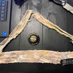 Green and Brown Snakestripe and 2020 NXL Ring