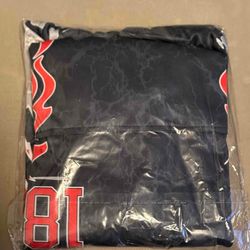 Enemy of the State “Flames” Hoodie - Large