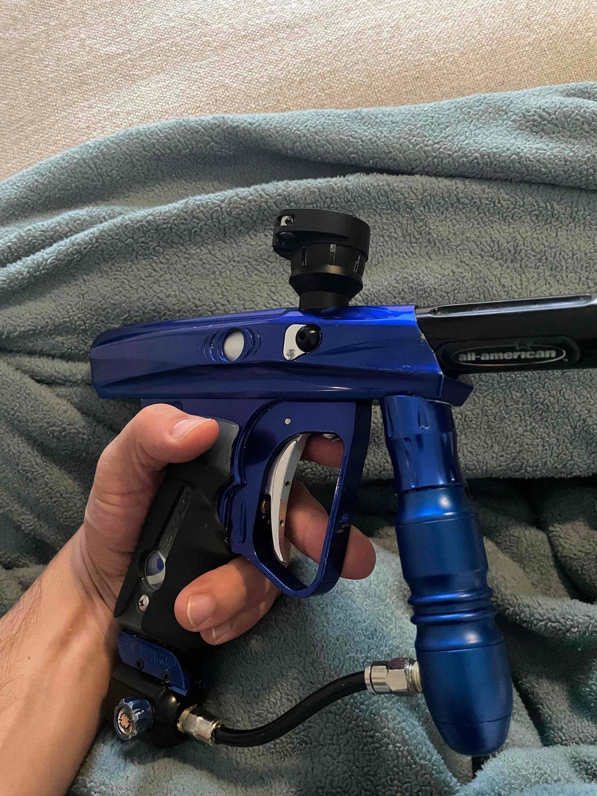 SFT Shocker -She Rips.
