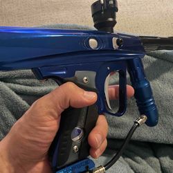 SFT Shocker -She Rips.