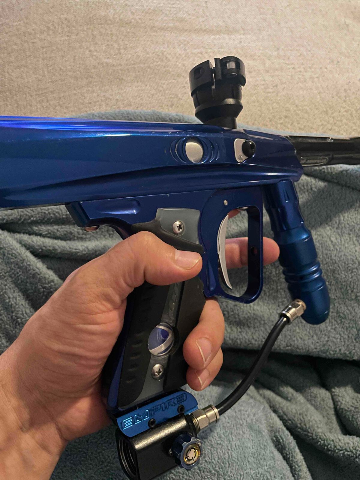 SFT Shocker -She Rips.