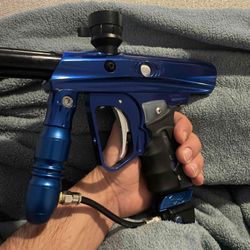 SFT Shocker -She Rips.